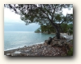 phaselis