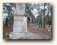 phaselis