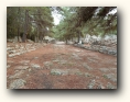 phaselis