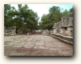 phaselis