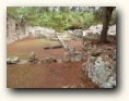 phaselis
