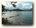 phaselis