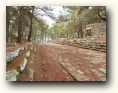 phaselis