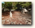 phaselis