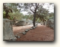 phaselis