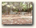 phaselis