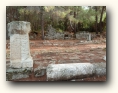phaselis