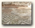 phaselis